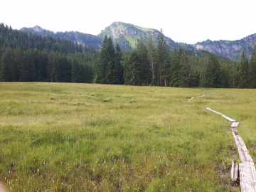 an der Vorderalm, links das Silleck, in der Mitte der Hochgern
