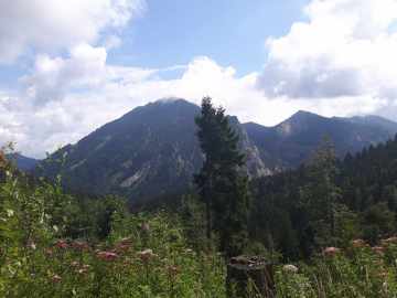 Hochfelln