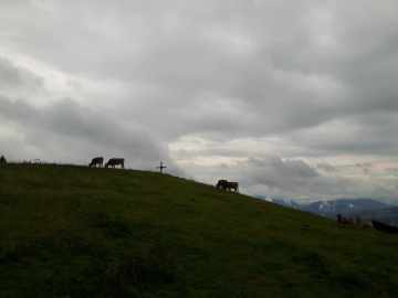 Allgäuer Bergidyll