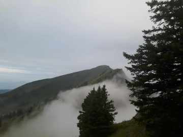 Blick zum Hochgrat