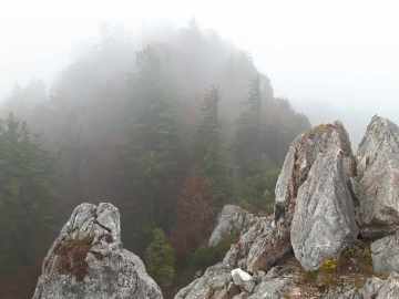 am Gipfelgrat, kurz vor dem Ziel