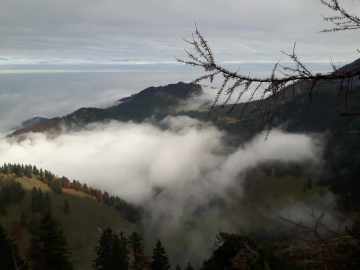 Blick hinunter zur Staudacher Alm