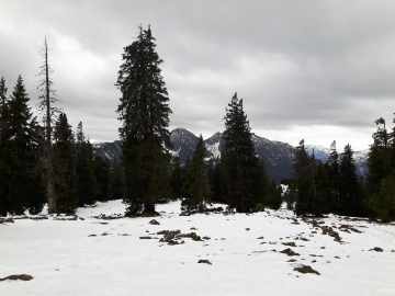 Blick zum Sonntagshorn