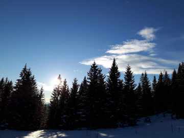 Winter light