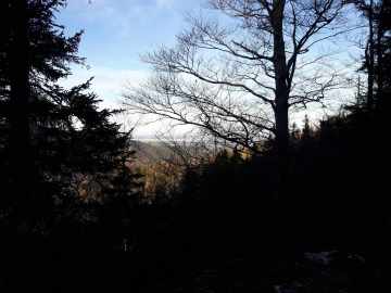 etwas verstellter Chiemseeblick