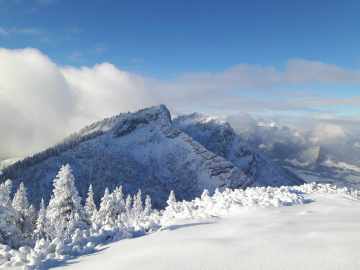 Blick zum Rauschberg