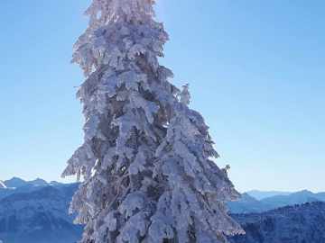 Winterwunderland