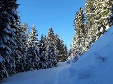 Sonne, Mond & Schnee