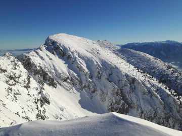 Blick zum Zwiesel