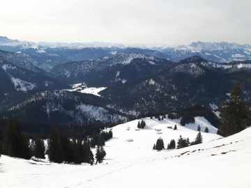 Blick zu den Almen