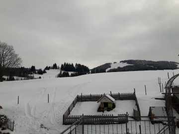 mit Ski bis zum Hof