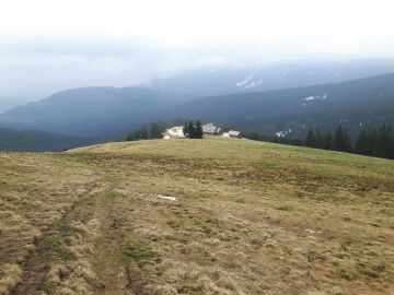 Stoisser