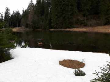 Silbersee