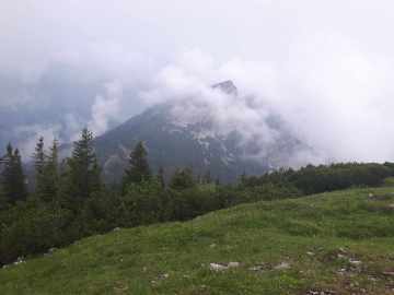 Rauschberg