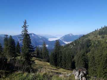 Nebel im Tal