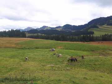 Nagelfluhkette