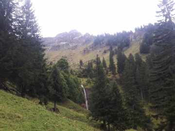 Brunnenau