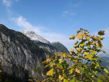 herbstlich