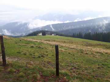 Stoißer