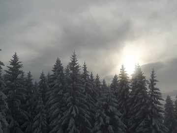 Winter!