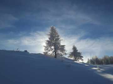 Wintertraum I