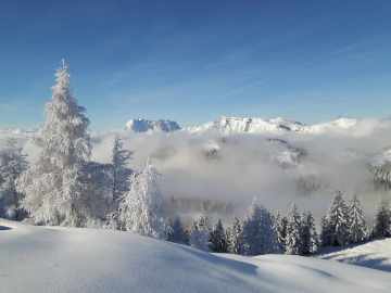 Wintertraum II