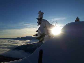 Wintertraum