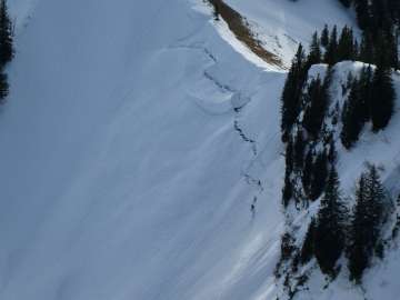 Schneemäuler am Breitenstein