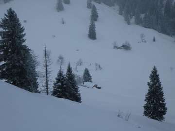 oberhalb der Dalsen-Almen