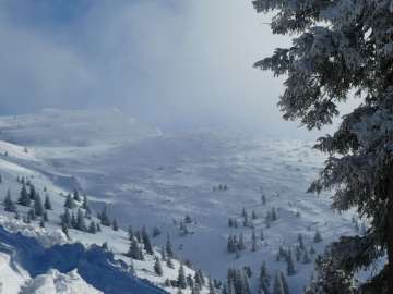 Abfahrtsspuren am Zwiesel