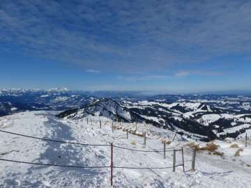 Bodensee unter dem Nebel