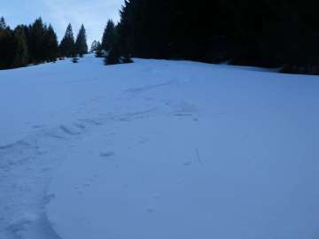 noch gut fahrbarer Plattenpulver