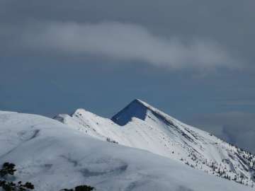 Sonntagshorn