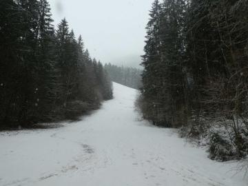 bis zum Schluss