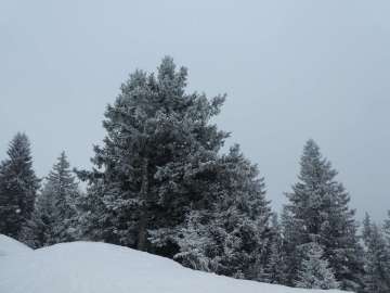 tiefst winterlich