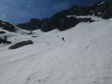 firnig