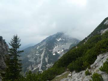 Blick zum Zwiesel