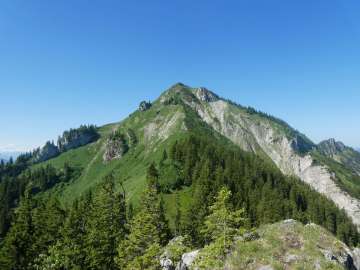 Hochgern vom Silleck