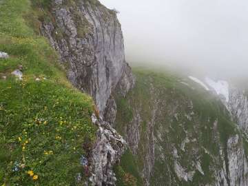 ...und die andere