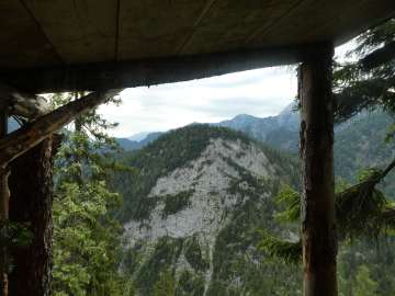Seekopf