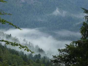 Talnebel