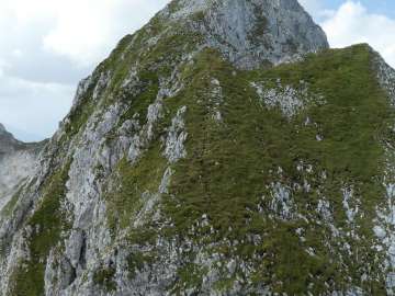 die letzten Meter zum Hochkarfelderkopf
