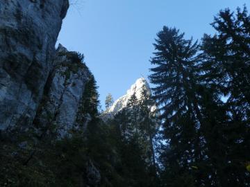 die letzten steilen Meter