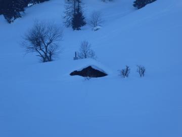 Dahlsenalm