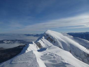 Blick zum Zwiesel