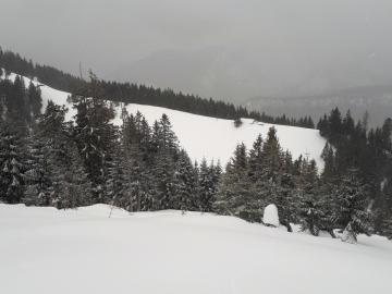 wiedermal tiefst winterlich