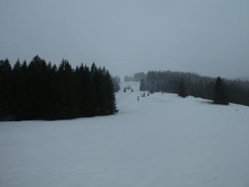 Lieblingshang
