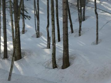Trichterlandschaft