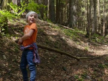 mein neuer Wanderstock