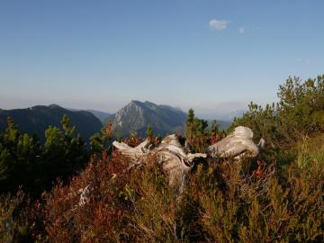 Rauschberg